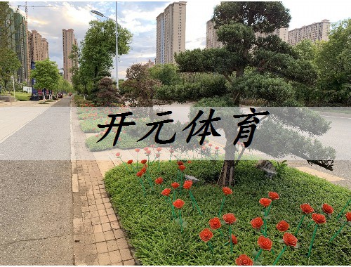 郴州市政道路綠化樹(shù)苗種類(lèi)有哪些
